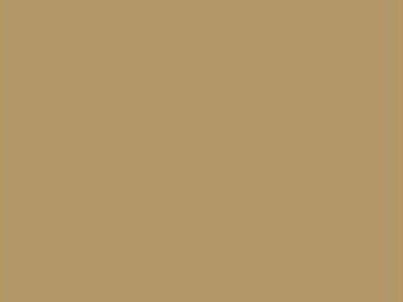 Permcon 4 Sandstone